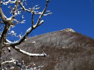 Monte Penna