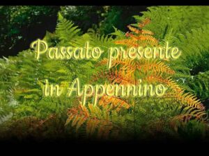 Passato Presente in Appennino