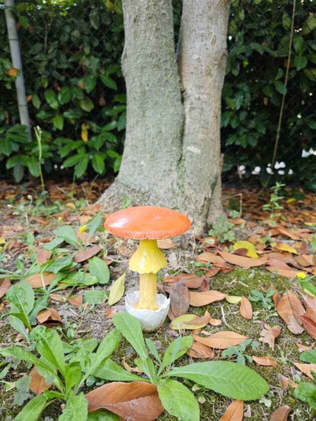 Amanita Caesarea