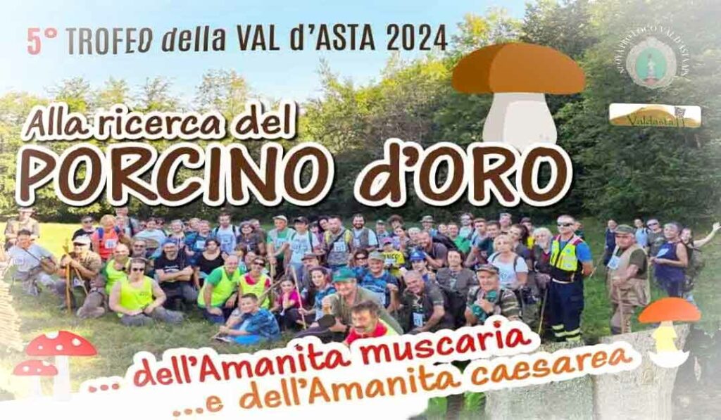 5° Trofeo della Val d'Asta - Video